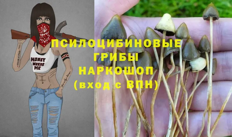 это клад  Горячий Ключ  Галлюциногенные грибы Magic Shrooms  OMG сайт 